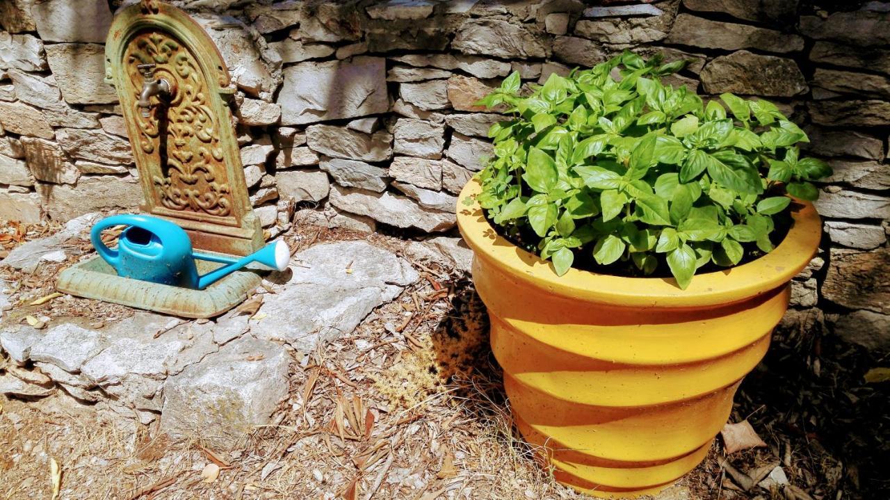Nimes En Garrigues Acomodação com café da manhã Exterior foto
